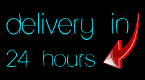 Delivery in 24 hours or money back!